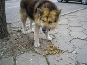 Прикачена снимка