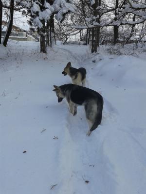 Прикачена снимка