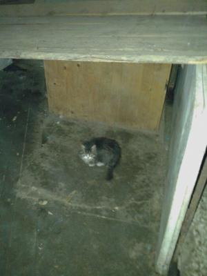 Прикачена снимка