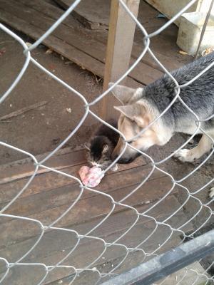 Прикачена снимка