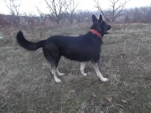 Прикачена снимка