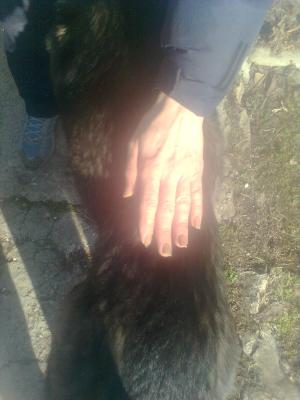 Прикачена снимка