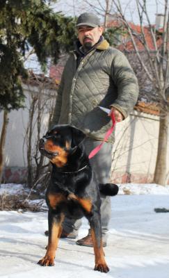 Прикачена снимка