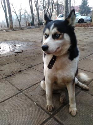 Прикачена снимка