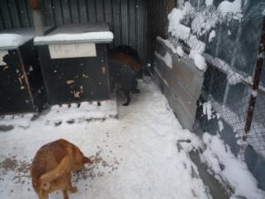 Прикачена снимка
