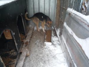 Прикачена снимка