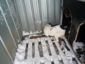 Прикачена снимка