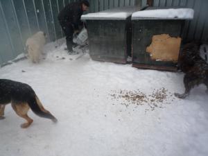Прикачена снимка