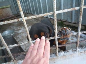 Прикачена снимка