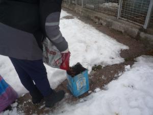 Прикачена снимка