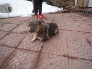 Прикачена снимка