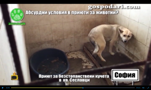 Прикачена снимка