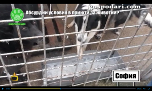 Прикачена снимка