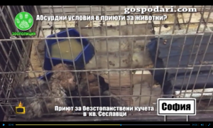 Прикачена снимка