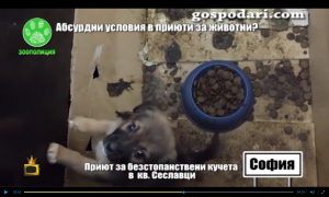 Прикачена снимка