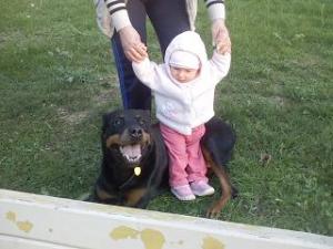 Прикачена снимка