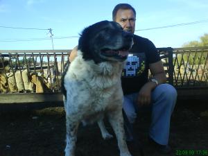 Прикачена снимка