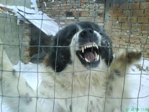 Прикачена снимка