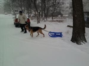 Прикачена снимка