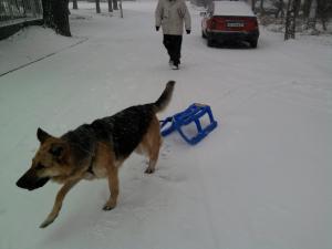Прикачена снимка