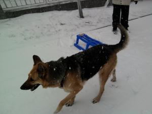 Прикачена снимка