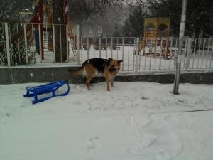 Прикачена снимка