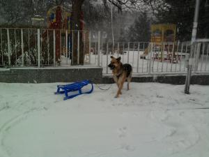 Прикачена снимка