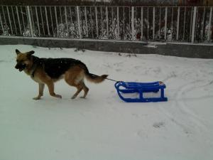 Прикачена снимка