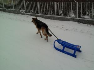 Прикачена снимка