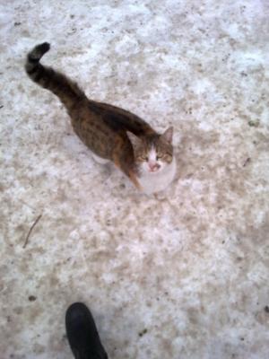 Прикачена снимка