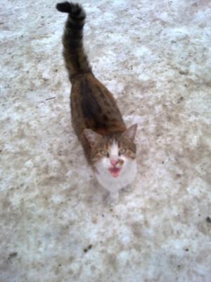Прикачена снимка