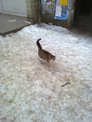 Прикачена снимка
