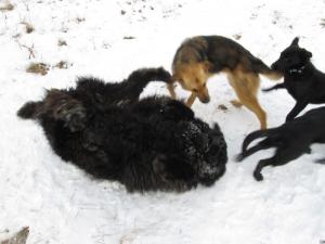 Прикачена снимка