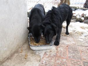 Прикачена снимка
