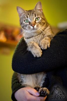 Прикачена снимка
