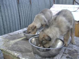 Прикачена снимка