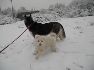 Прикачена снимка