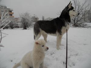 Прикачена снимка