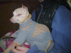 Прикачена снимка