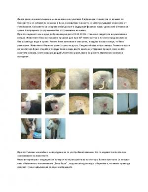 Прикачена снимка