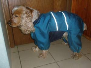 Прикачена снимка