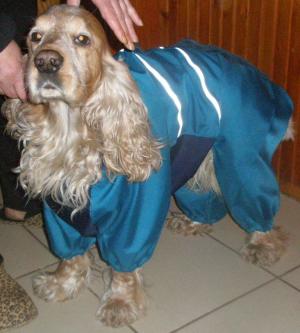 Прикачена снимка