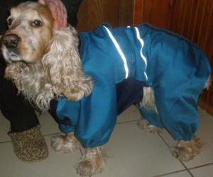 Прикачена снимка