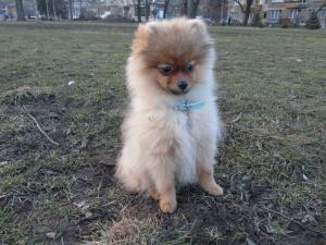 Прикачена снимка