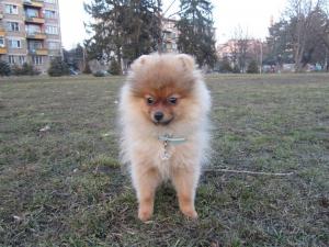 Прикачена снимка