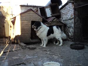 Прикачена снимка