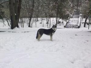Прикачена снимка