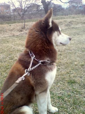 Прикачена снимка