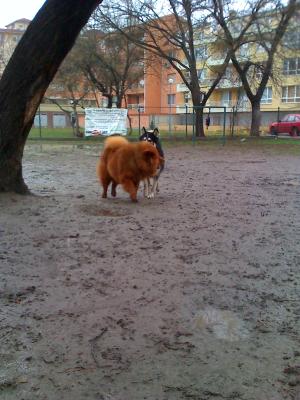 Прикачена снимка