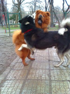 Прикачена снимка